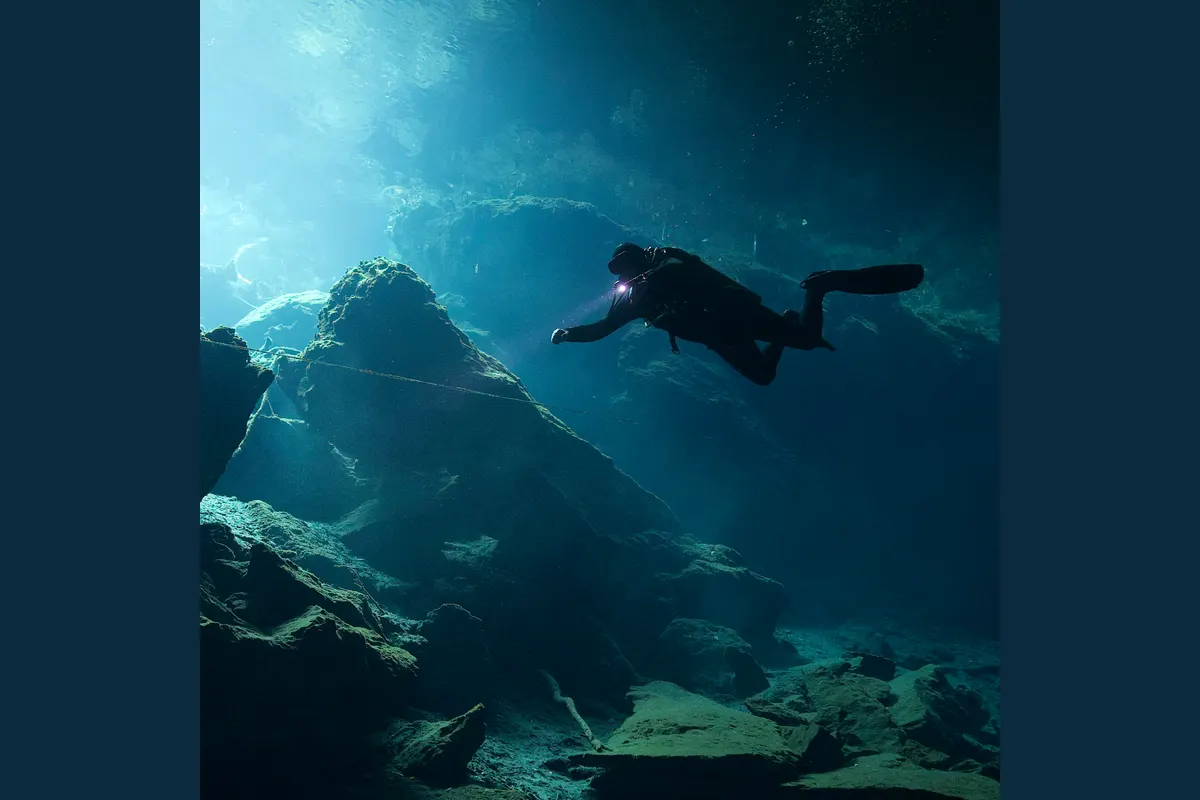 Diver logo